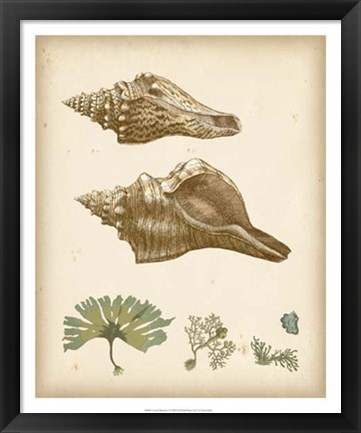 Framed Coastal Memories I Print
