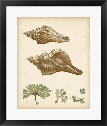 Framed Coastal Memories I Print