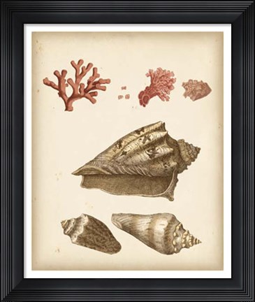 Framed Coastal Memories II Print