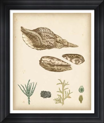 Framed Coastal Memories III Print