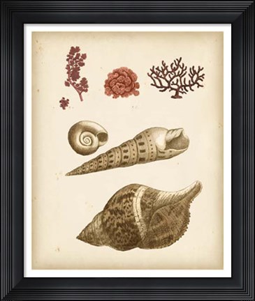 Framed Coastal Memories IV Print