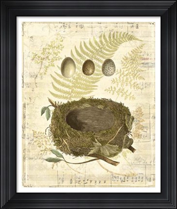 Framed Melodic Nest &amp; Eggs I Print