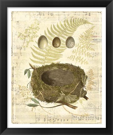 Framed Melodic Nest &amp; Eggs I Print