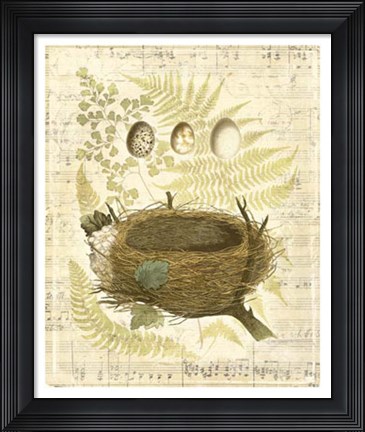 Framed Melodic Nest &amp; Eggs II Print
