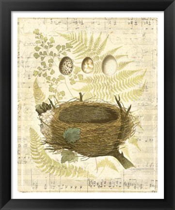 Framed Melodic Nest &amp; Eggs II Print