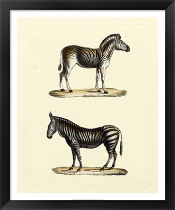 Framed Animal Studies I Print