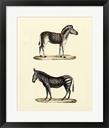 Framed Animal Studies I Print