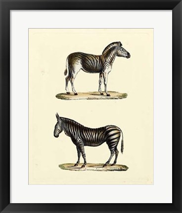 Framed Animal Studies I Print