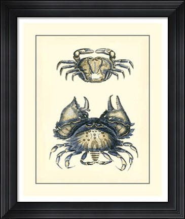 Framed Antique Blue Crabs I Print