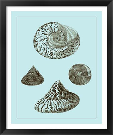 Framed Tinted Shells on Aqua IV Print