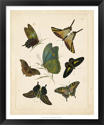 Framed Antique Entomology I Print