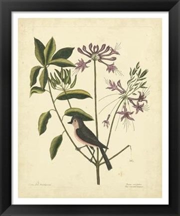 Framed Bird &amp; Botanical I Print