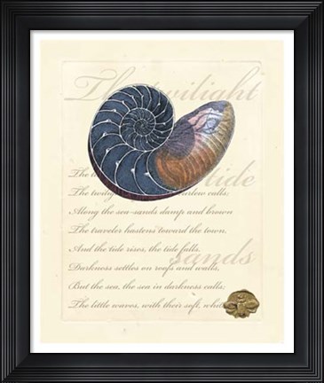 Framed Romance of the Shell I Print