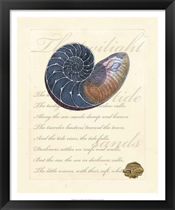 Framed Romance of the Shell I Print