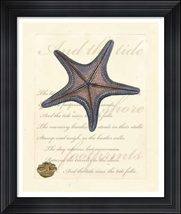 Framed Romance of the Shell II Print