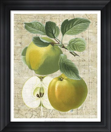 Framed Orchard Medley I Print