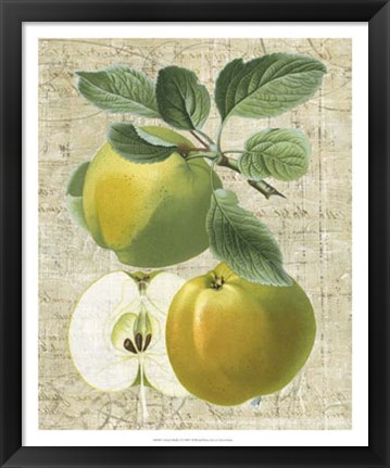 Framed Orchard Medley I Print