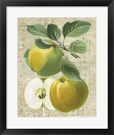 Framed Orchard Medley I Print