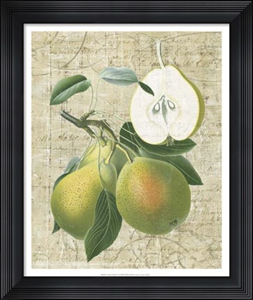 Framed Orchard Medley II Print