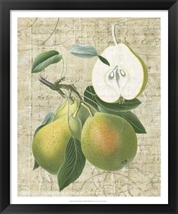 Framed Orchard Medley II Print