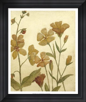 Framed Wildflower Field I Print