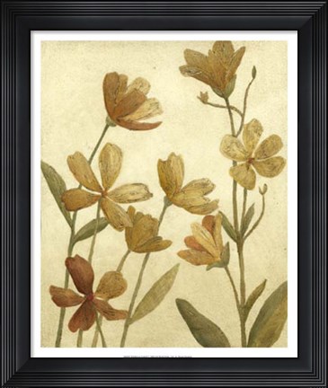 Framed Wildflower Field II Print