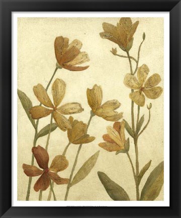 Framed Wildflower Field II Print