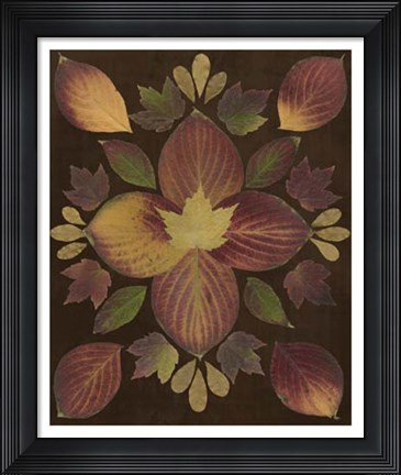 Framed Kaleidoscope Leaves V Print