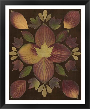 Framed Kaleidoscope Leaves V Print