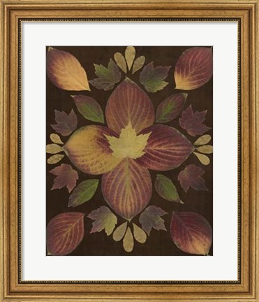 Framed Kaleidoscope Leaves V Print