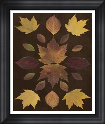 Framed Kaleidoscope Leaves VI Print
