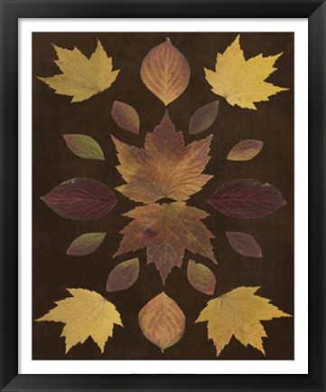 Framed Kaleidoscope Leaves VI Print