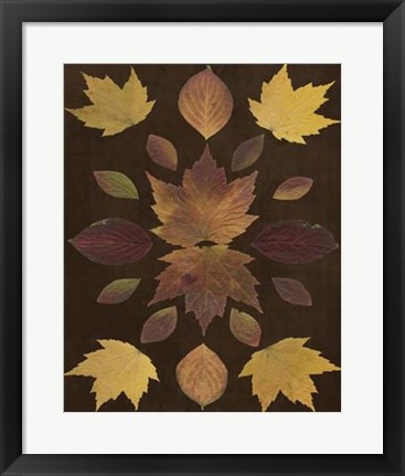 Framed Kaleidoscope Leaves VI Print