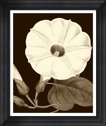 Framed Glorious Blooms I Print