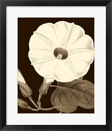 Framed Glorious Blooms I Print