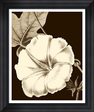 Framed Glorious Blooms II Print
