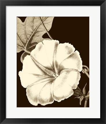Framed Glorious Blooms II Print