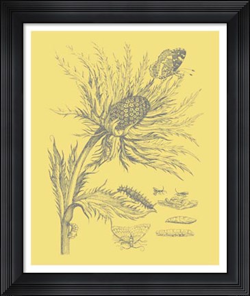 Framed Nature's Optimism I Print