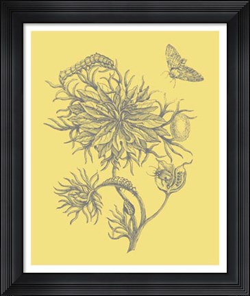 Framed Nature's Optimism II Print
