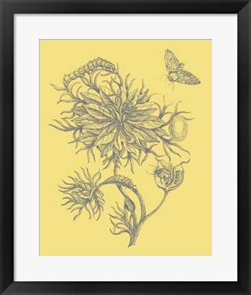 Framed Nature&#39;s Optimism II Print