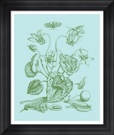 Framed Spring Cyclamen I Print