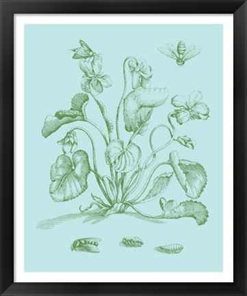 Framed Spring Cyclamen II Print