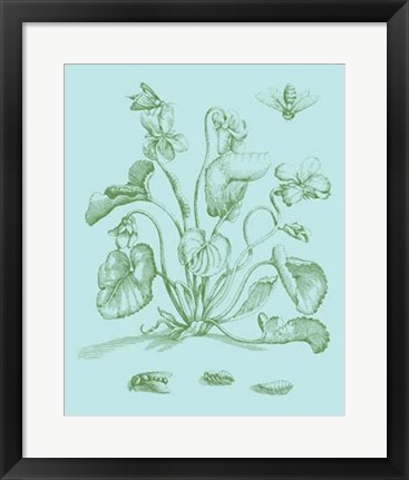 Framed Spring Cyclamen II Print