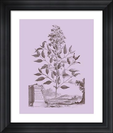 Framed Romantic Jasmine Print