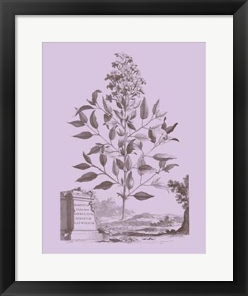 Framed Romantic Jasmine Print