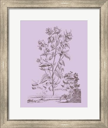 Framed Romantic Violet Print
