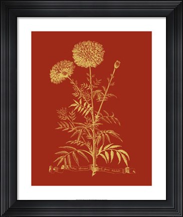 Framed Paprika Bouquet I Print