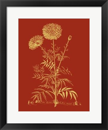 Framed Paprika Bouquet I Print