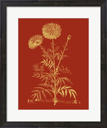 Framed Paprika Bouquet I Print