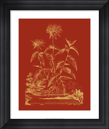 Framed Paprika Bouquet II Print